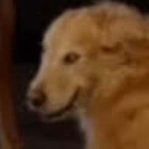 Meet your Posher, Puffo